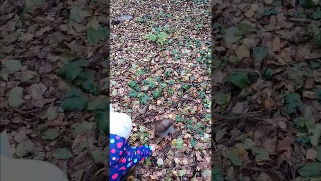 Сохраним природу Смирнова Анастасия 4 года смотреть онлайн
