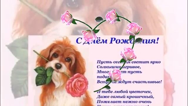 Наташа, с Днём Рождения! смотреть онлайн