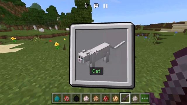 КАК ПРЕВРАТИТЬСЯ В ЛЮБОГО МОБА В МАЙНКРАФТ БЕДРОК ? | МОД НА ПРЕВРАЩЕНИЕ В МОБОВ для МАЙНКРАФТ ПЕ смотреть онлайн