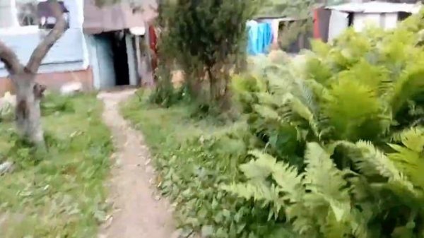 Игра Прятки догонялки