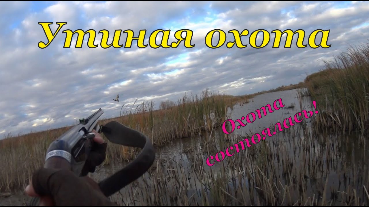 Утиная охота - Охота состоялась! смотреть онлайн