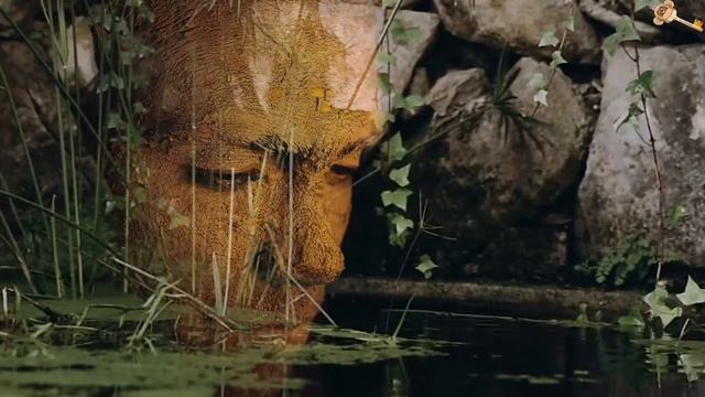Внимание на дыхание (Путь Будды) Простая и эффективная практика #Ошо смотреть онлайн