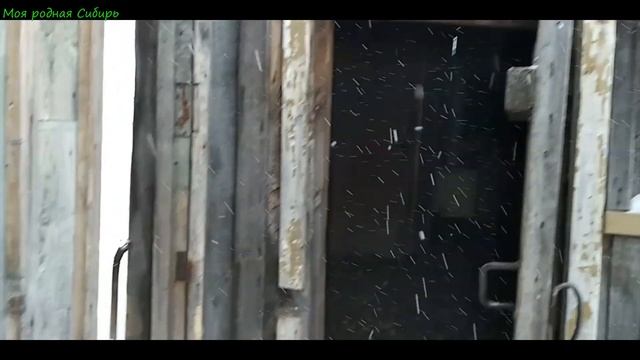 Загоняем гусей в стайку всех по местам.А Шерочка у нас кто-гусыня или гусак? Прилетели чужие голуби смотреть онлайн