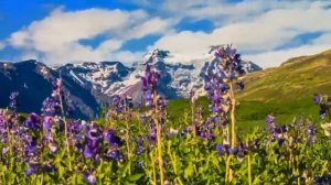 Виталий и Наталья Соколовы. Моя Земля