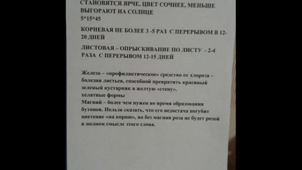 шпаргалка розоводам. питомник роз полины козловой rozarium.biz , cheat sheet for rose growers