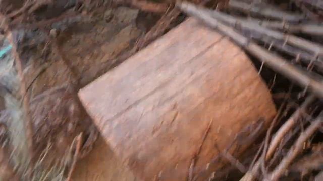 Умеет ли Пират 