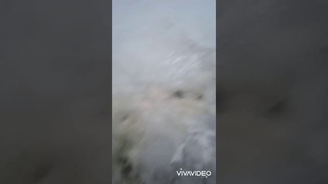хотел сходить на рыбалку!!! смотреть онлайн