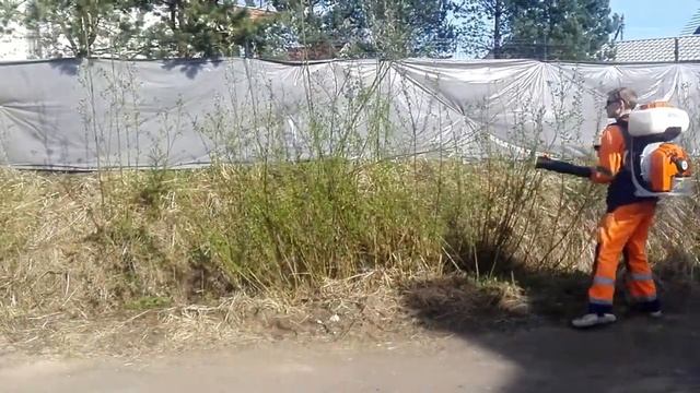 Гербицидная обработка растительности в канаве