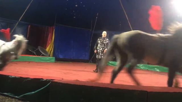 Яранск Цирк смотреть онлайн