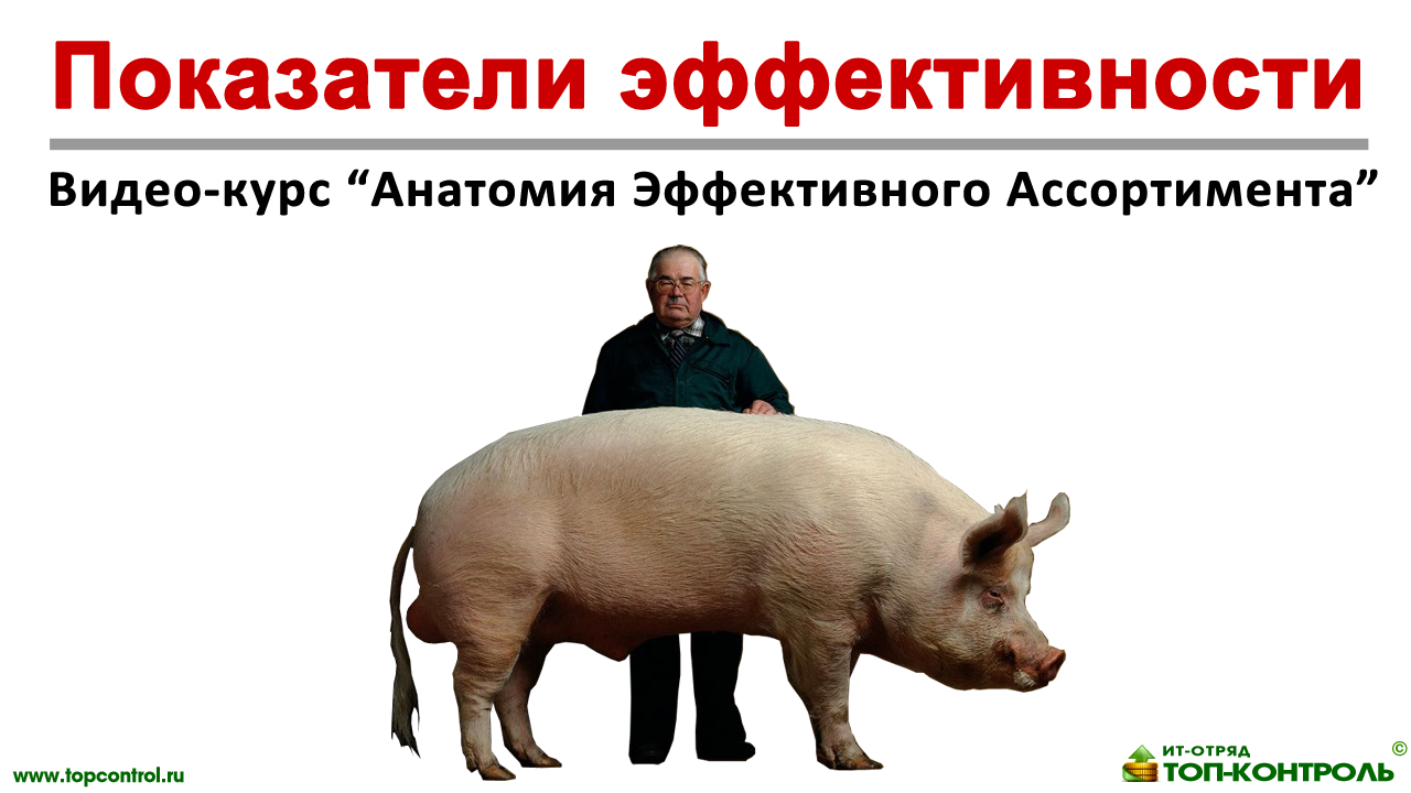 Ключевые Показатели управления ассортиментной матрицей и запасами на складах - Практикум 3 смотреть онлайн