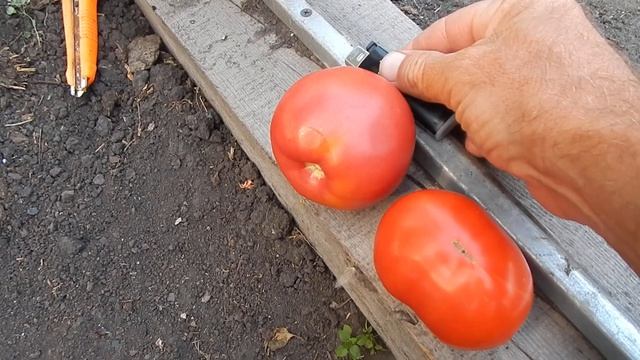 Делаю практический ответ на комментарии хорошего человека.