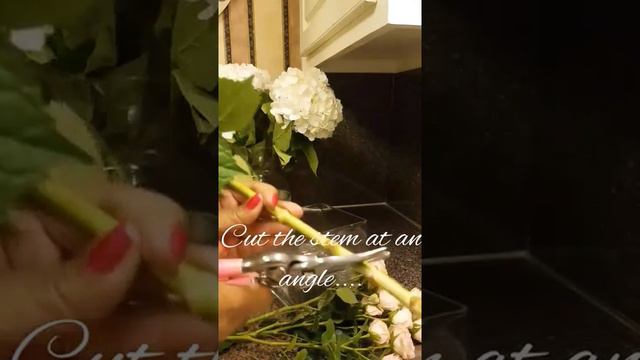 DIY Hydrangea and Rose Wedding Centerpiece! смотреть онлайн