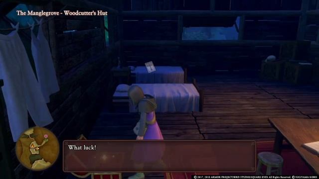 DRAGON QUEST XI The Manglegrove All Treasure Location Guide смотреть онлайн