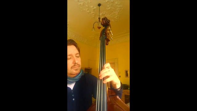 Salsa - One minute bass tales - Hoppál Mihály BassPoetry egyperces смотреть онлайн