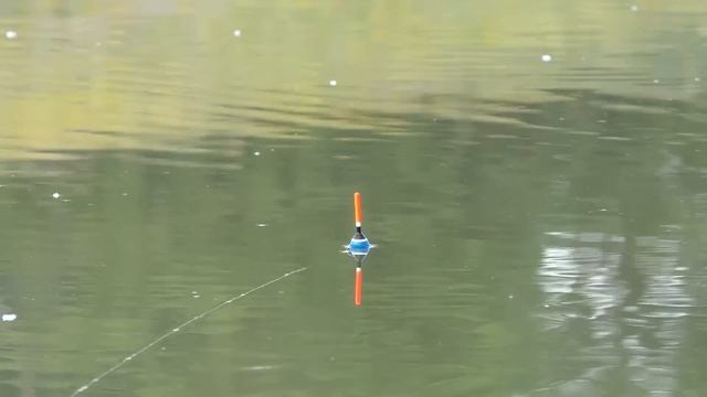 Рыбалка на утренней зорьке на поплавок. Ловля на маховую удочку. смотреть онлайн