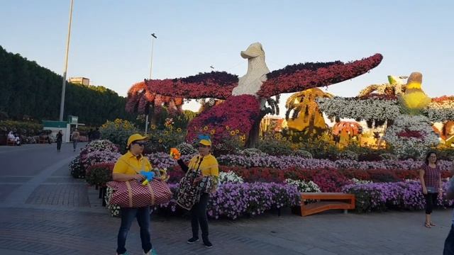 Сад Чудес в Дубае (Парк Цветов) ОАЭ Это надо увидеть! Dubai Miracle Garden смотреть онлайн