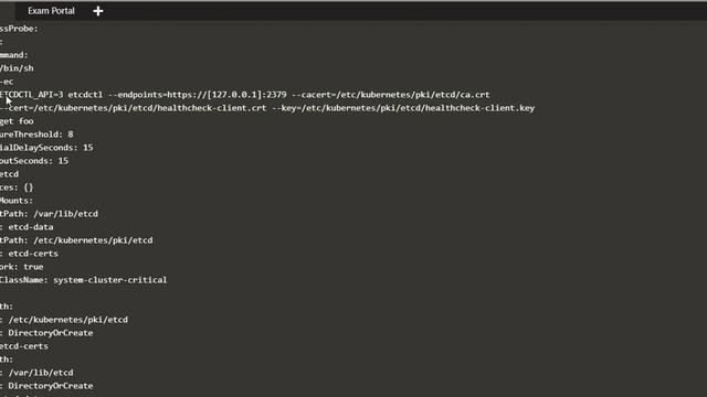 Backup ETCD | Kubernetes | Snapshot смотреть онлайн
