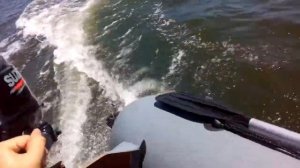 Лодка Хантер 320ЛК и Сузуки DF5AS