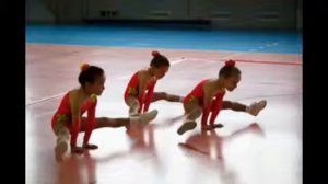 Спортивная Аэробика