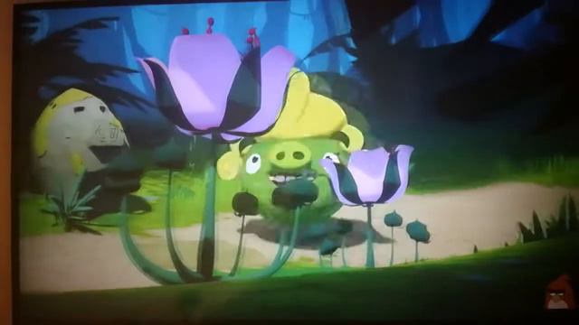 Angry Birds Stella romantyczna miłość смотреть онлайн