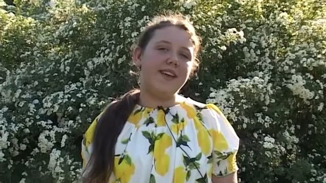 Н. Заболоцкий. (Уступи мне, скворец, уголок...) смотреть онлайн