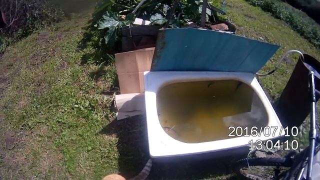 Кормлю кота Никаса ротанами. смотреть онлайн