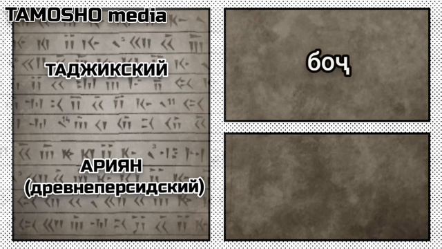 АРИЯН. Сравнение таджикского языка с древнеперсидским языком #таджики #персы #язык #история #таджик