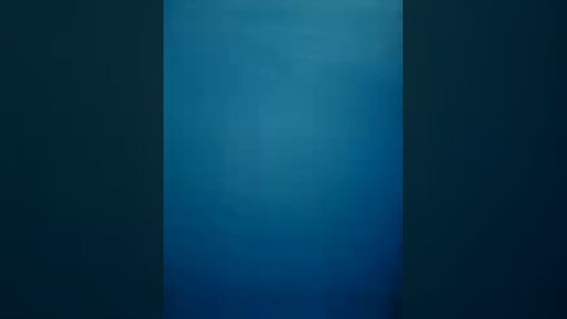 трюки на втором этаже моей кровати смотреть онлайн