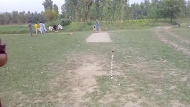 My village cricket game смотреть онлайн