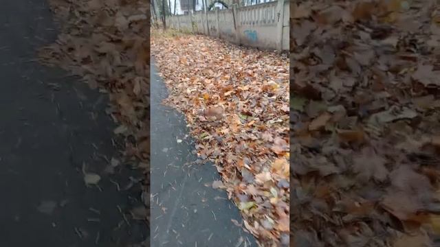 На улице там что невидимое моросит. Пойдемка мы домой, к чаю))) смотреть онлайн