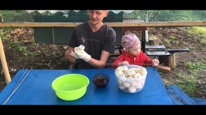 Шампиньоны на мангале. Сочно, быстро, вкусно. Mushrooms at the stake.