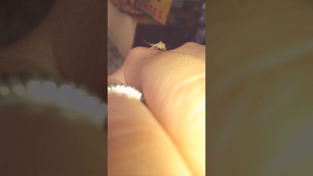 Атыраудын масасы смотреть онлайн
