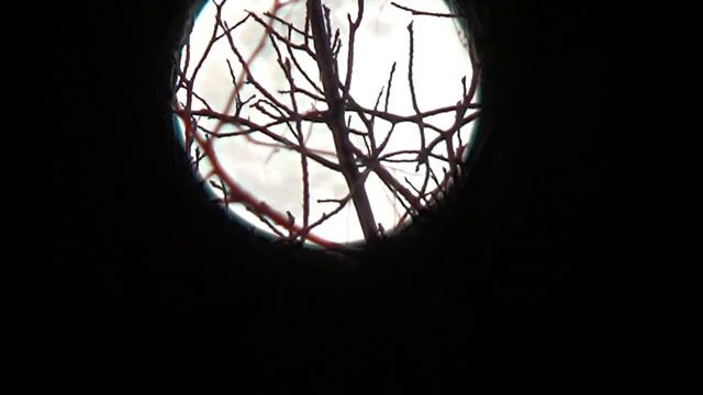 Full Moon Apr20 Super Pink Moon смотреть онлайн