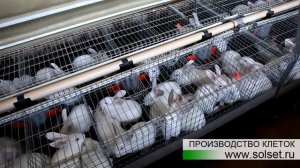 Клетки для кроликов промышленные