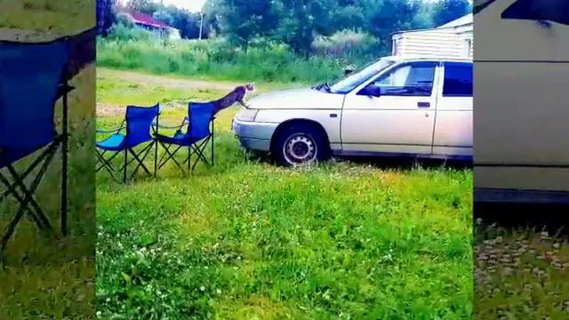 Ампиала 2020 смотреть онлайн