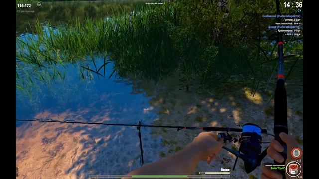 TheFisher Online Ловля Линя и где ловить Моллюсков смотреть онлайн