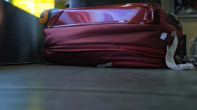 A dog barked at a suitcase. Security officers checked him and were shocked! смотреть онлайн