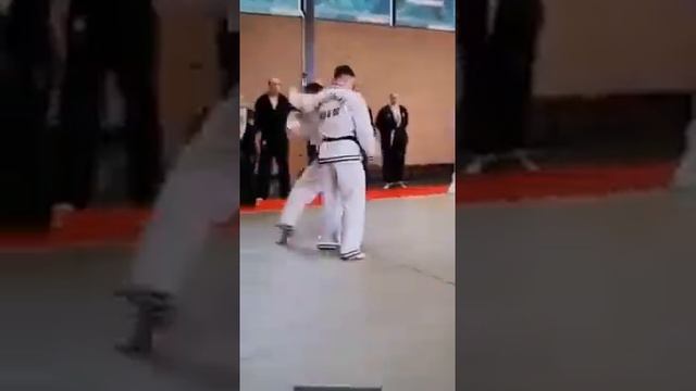 Hapkido смотреть онлайн
