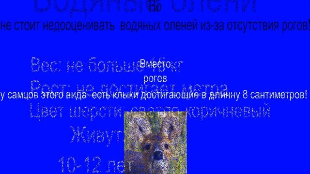 Описание Водяного оленя смотреть онлайн