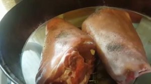 Картошка со свиной рулькой в аэрогриле.Язык можно проглотить