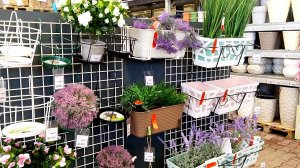 ?Оби?Кашпо?Цветочные Горшки⚘Садовые Фигурки?