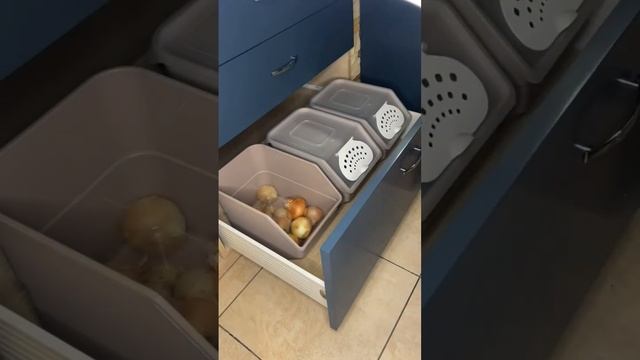 Хранение овощей #домохозяйка #лайфхаки #кухня смотреть онлайн