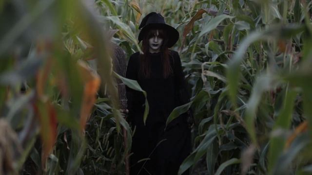 mystical beauty video · mysticism around us · мистика вокруг нас. смотреть онлайн