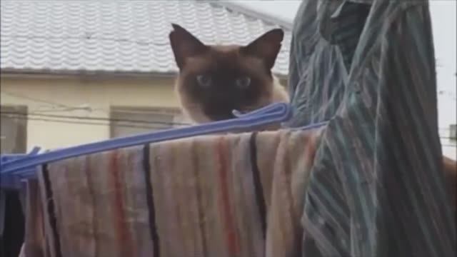 My name is Giovanni Giorgio but. He thinks his name is that too (Джованни Джорджио) смотреть онлайн