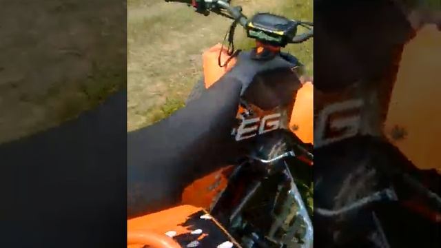 Квадроцикл EGL MOTOR 150 смотреть онлайн