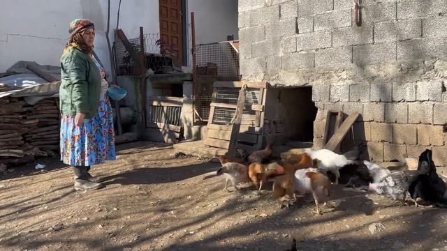 The life of rural families in northern Iran, daily life смотреть онлайн