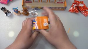 Буба и его Крыса Гарри Поттер! Вся коллекция Свит Бокс 2022