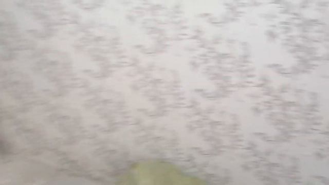 3.12.2021г.Ремонт квартиры в Благовещенском районе г Чебоксары. смотреть онлайн