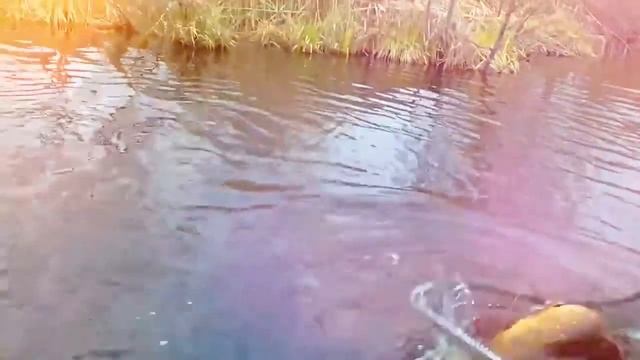 Озеро Плотово рыбалка смотреть онлайн