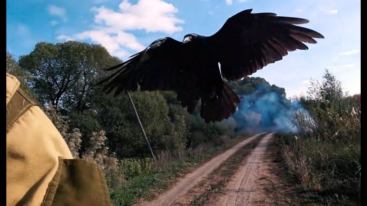 ДЫМ смотреть онлайн